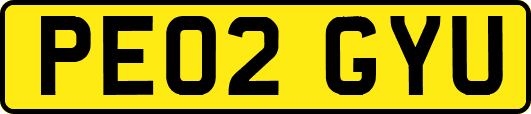PE02GYU