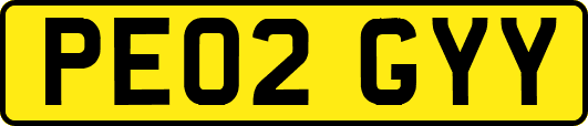 PE02GYY