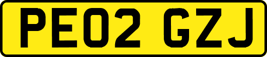 PE02GZJ