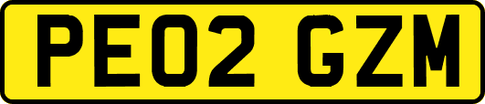 PE02GZM
