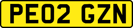 PE02GZN