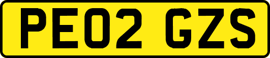 PE02GZS