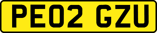 PE02GZU