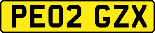 PE02GZX