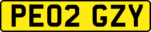PE02GZY