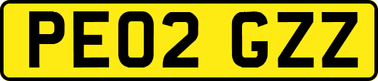 PE02GZZ