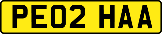 PE02HAA