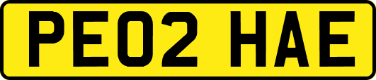 PE02HAE