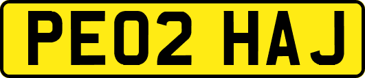 PE02HAJ