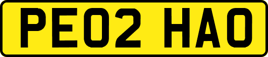 PE02HAO