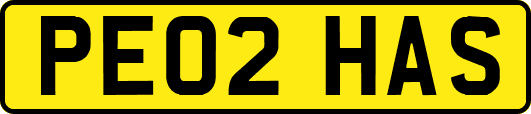 PE02HAS