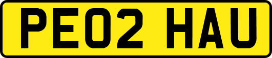 PE02HAU