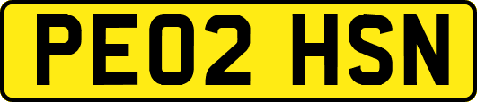 PE02HSN