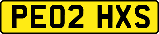 PE02HXS