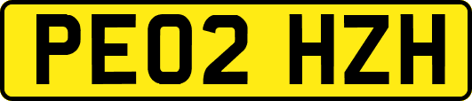 PE02HZH