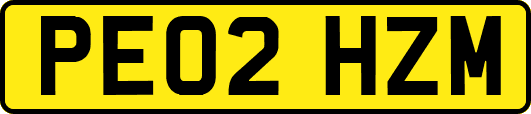 PE02HZM
