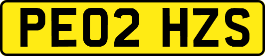 PE02HZS