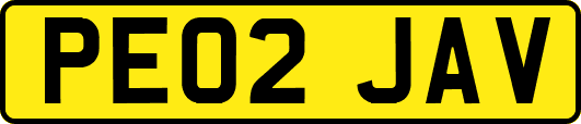 PE02JAV
