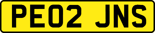 PE02JNS