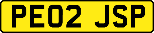 PE02JSP