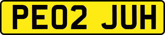 PE02JUH