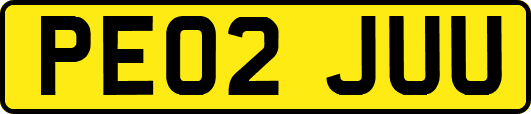 PE02JUU