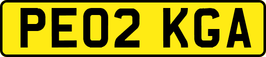 PE02KGA