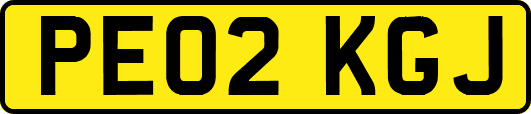 PE02KGJ