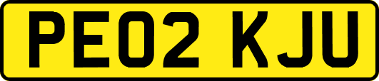 PE02KJU