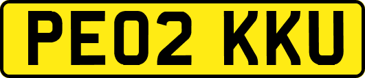 PE02KKU