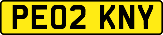 PE02KNY