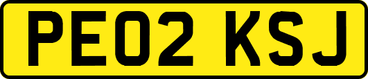 PE02KSJ