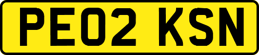 PE02KSN