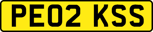 PE02KSS