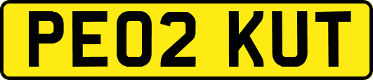 PE02KUT