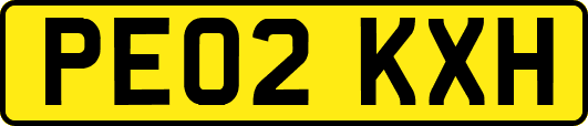 PE02KXH