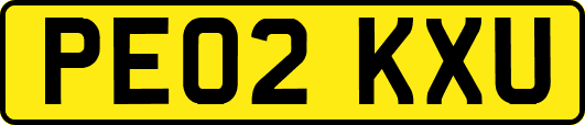 PE02KXU