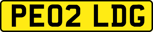 PE02LDG