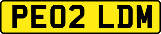 PE02LDM