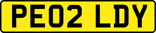 PE02LDY