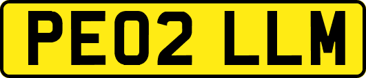 PE02LLM
