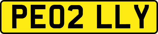 PE02LLY