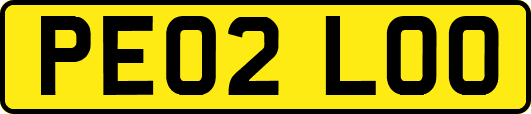 PE02LOO