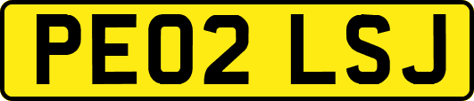 PE02LSJ