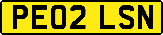 PE02LSN