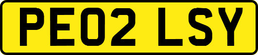 PE02LSY