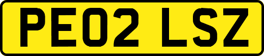 PE02LSZ