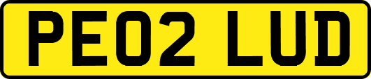 PE02LUD