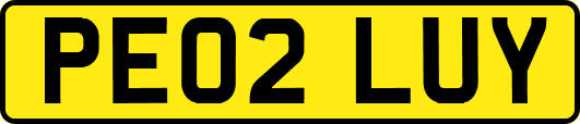 PE02LUY
