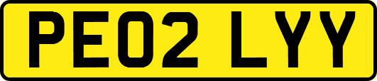 PE02LYY